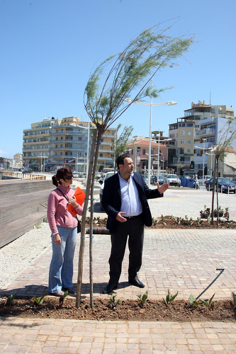 Από την δενδροφύτευση στον κόλπο Δερματά