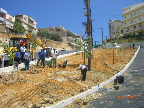 Από τις εργασίες δεντροφύτευσης στην Οδό Μνησικλή